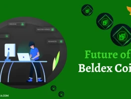 Beldex's Wallet Allocations: What's So Unique?