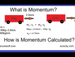 Momentum: What it Means and What it Could Mean For You